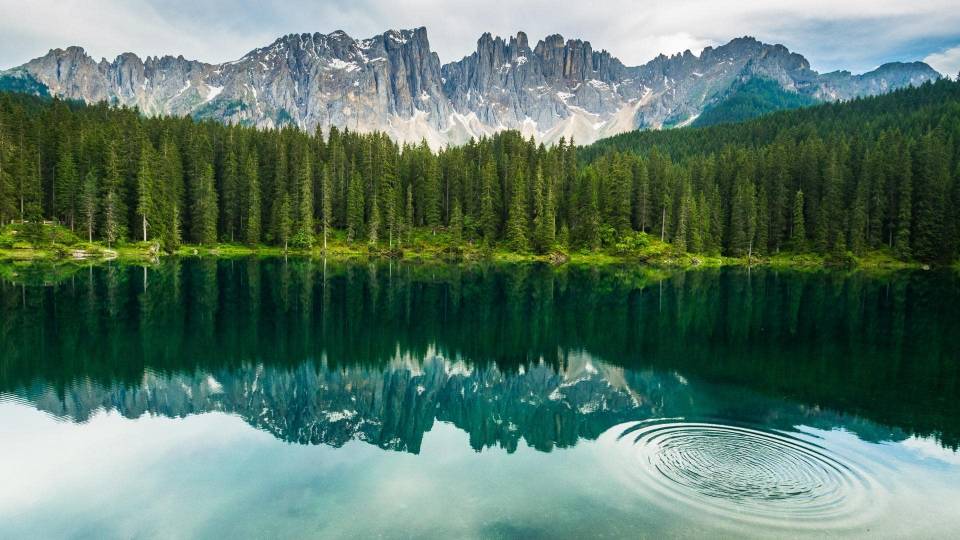 5 boschi da non perdere in Italia